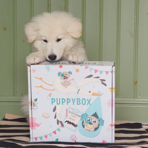 Puppybox