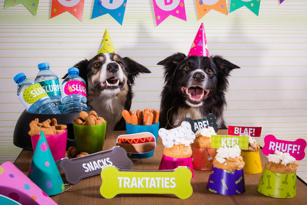 DIY Printklare Verjaardagspawty Set