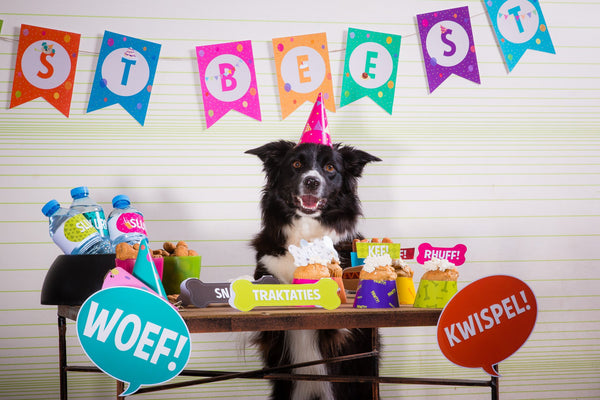 DIY Printklare Verjaardagspawty Set