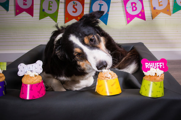 DIY Printklare Verjaardagspawty Set