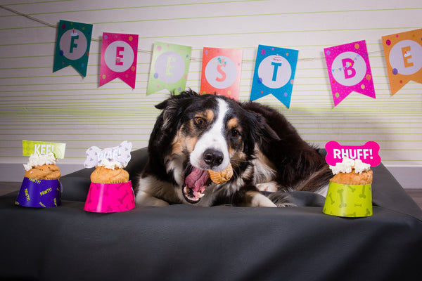 DIY Printklare Verjaardagspawty Set