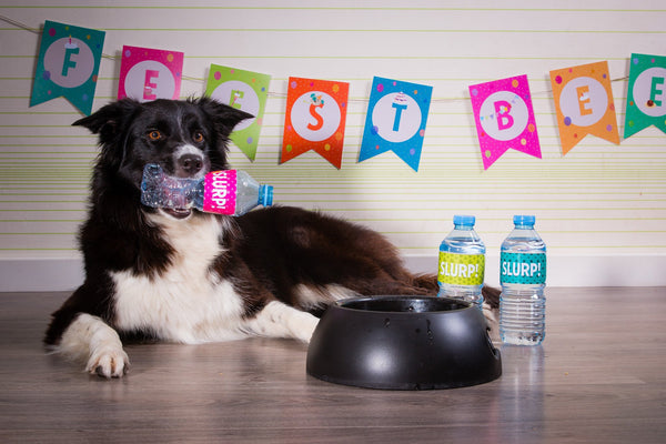 DIY Printklare Verjaardagspawty Set