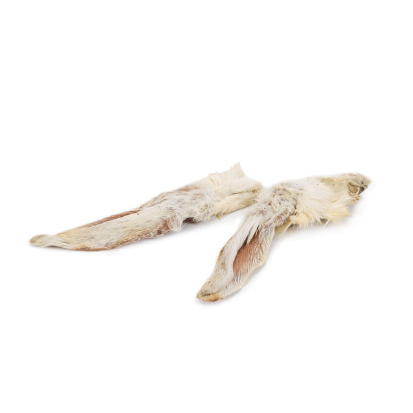 Konijnenoren (tot 40% korting)