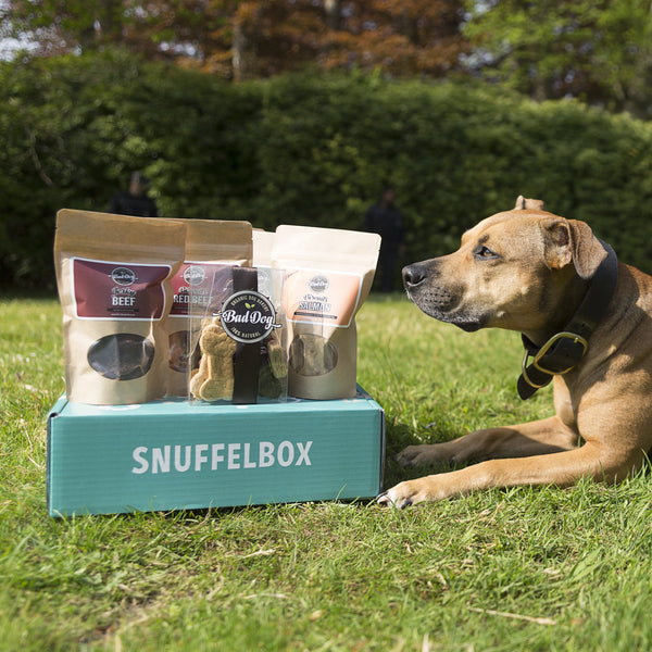 Kwartaallidmaatschap