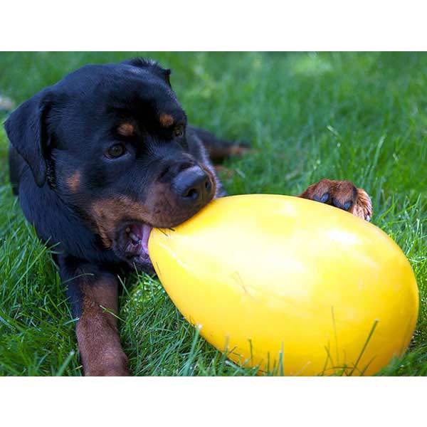 Jolly Egg (35% korting)