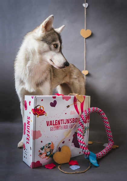 Valentijnsbox 2019