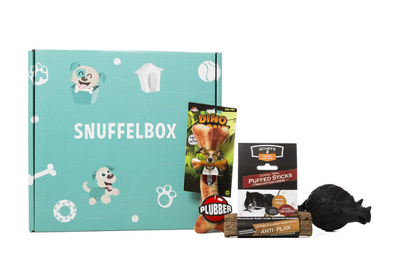Jurassic Bark Box