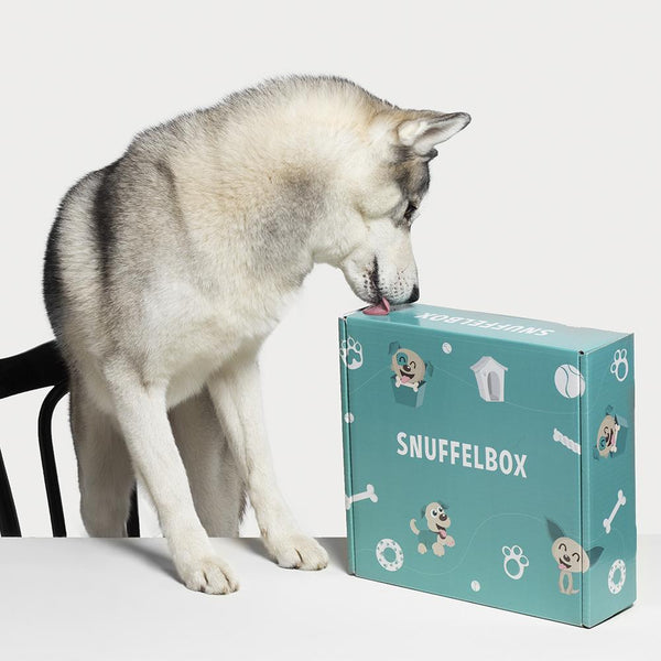 Kwartaallidmaatschap