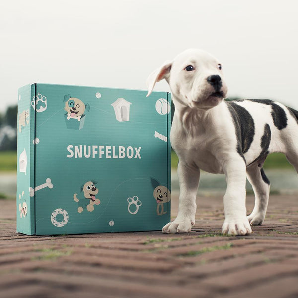 Kwartaallidmaatschap