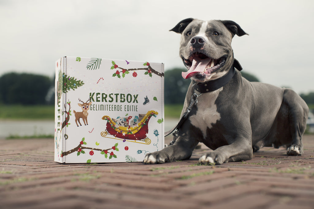 Kerstbox