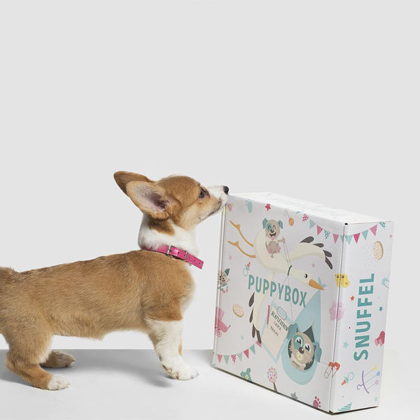 Puppybox