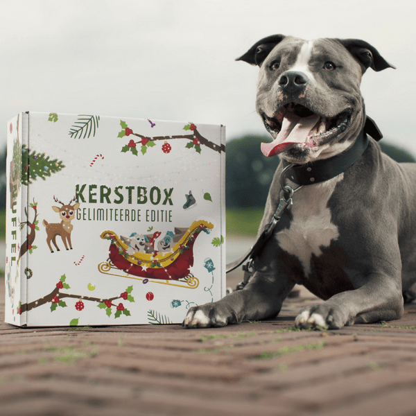 Kerstbox 2018
