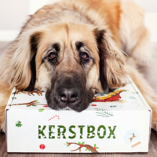 Kerstbox 2018
