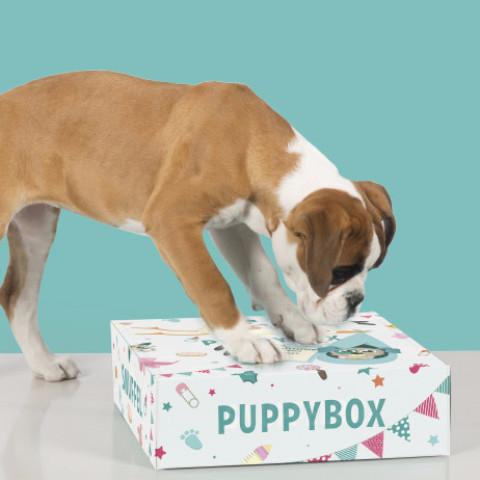 Puppybox