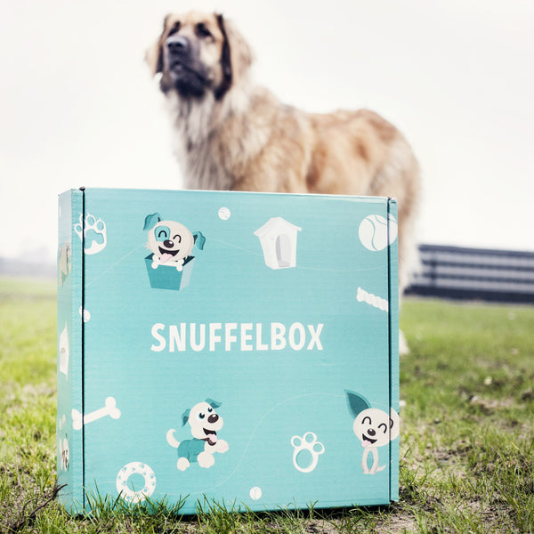 Kwartaallidmaatschap