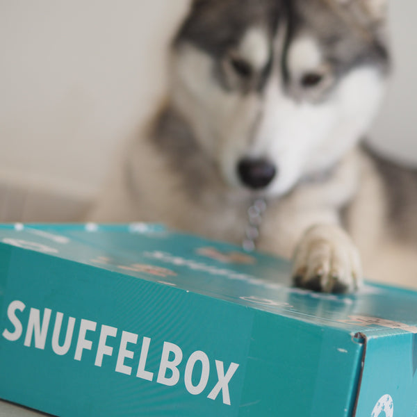 Kwartaallidmaatschap