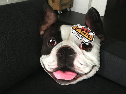 Franse Bulldog Kussen (35% korting)