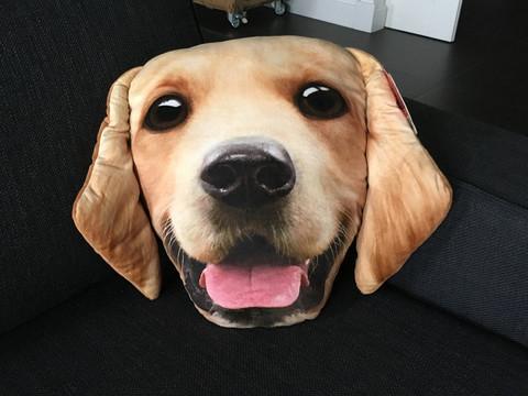 Golden Retriever Kussen (35% korting)