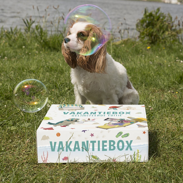 Vakantiebox 2018