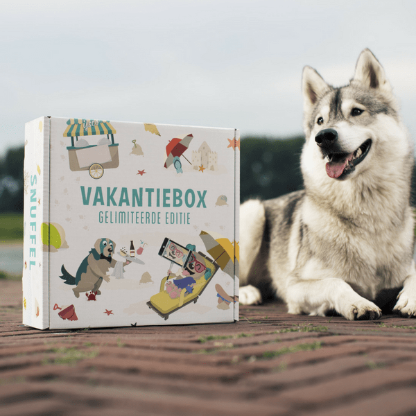 Vakantiebox 2018