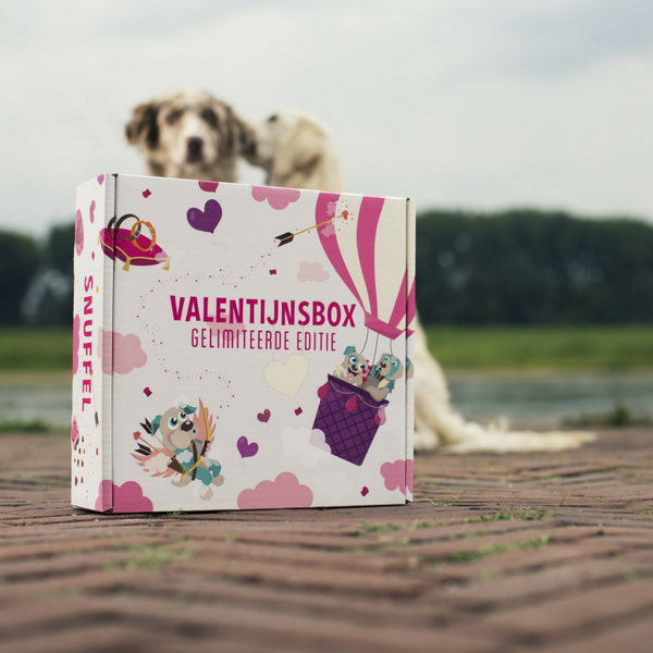 Valentijnsbox 2019