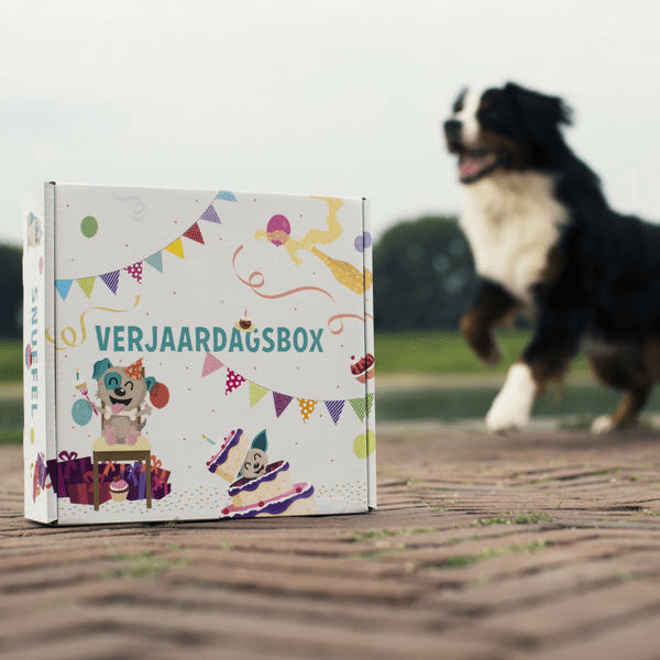 Verjaardagsbox