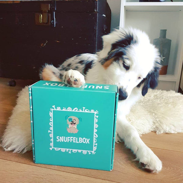 Snuffelbox Mini
